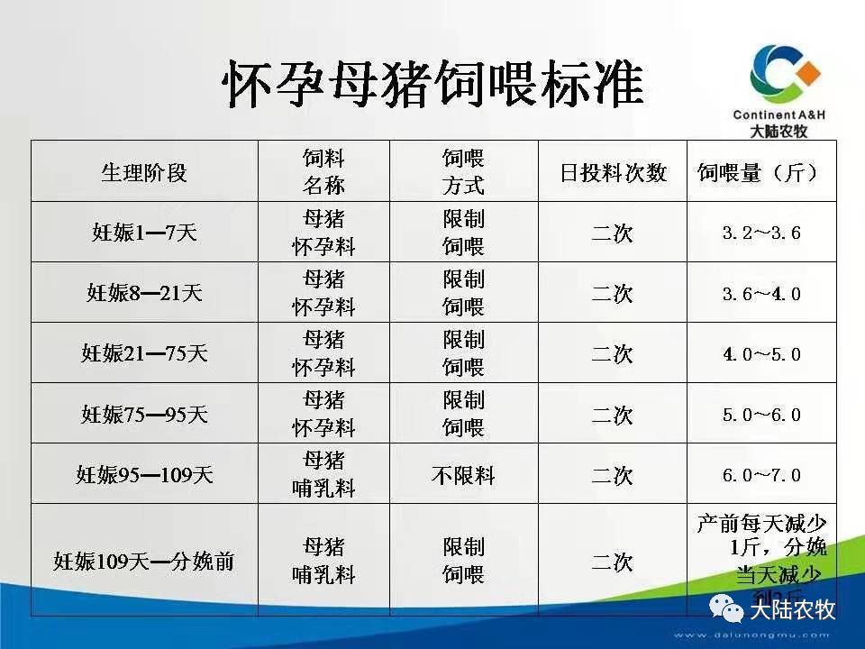 猪太太功能型10%母猪料饲喂方法及用后效果