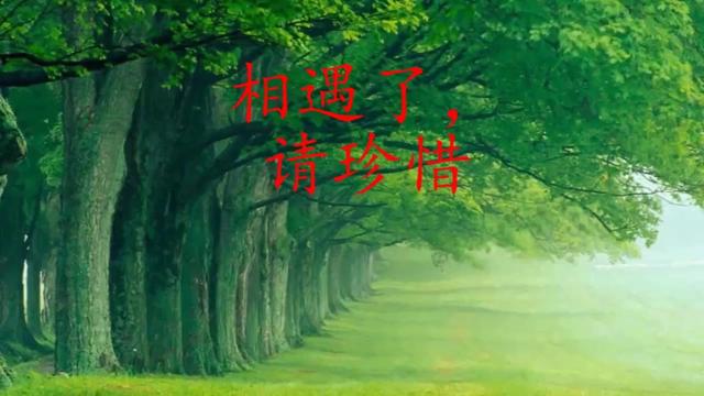 相遇了请珍惜被男人爱着的女人来听听