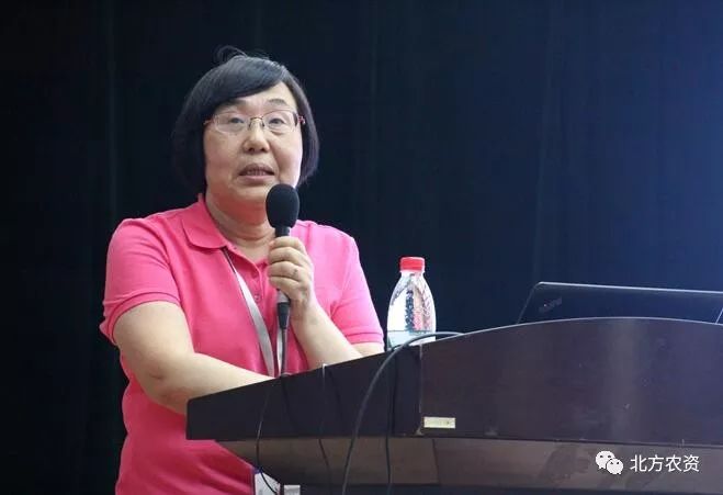 张凤兰北京市农林科学院蔬菜研究中心育种部首席专家张凤兰认为,十字