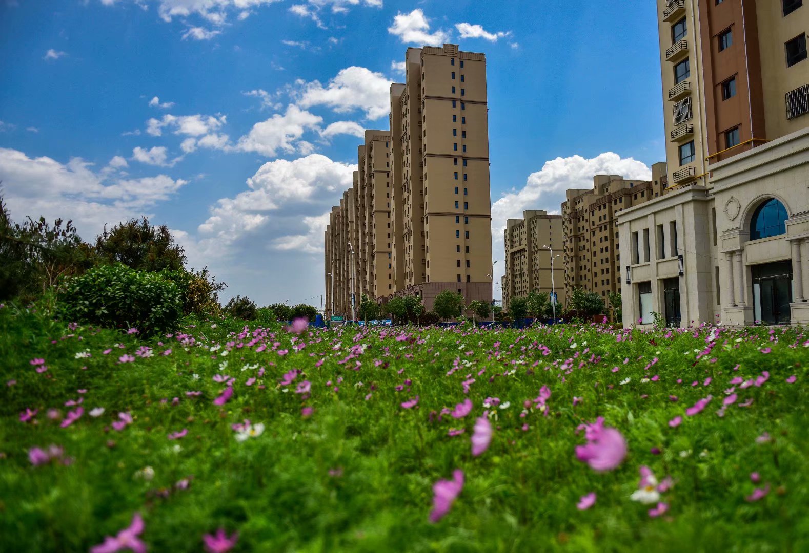 定了今年遵化城区将实施20多项绿化工程城市更美丽