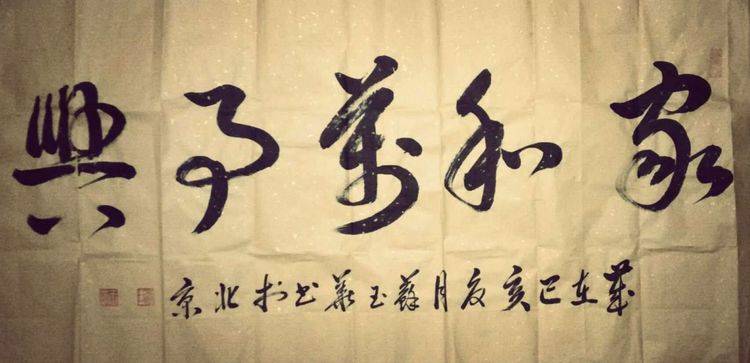 当代著名书法艺术家苏玉华先生共赏作品