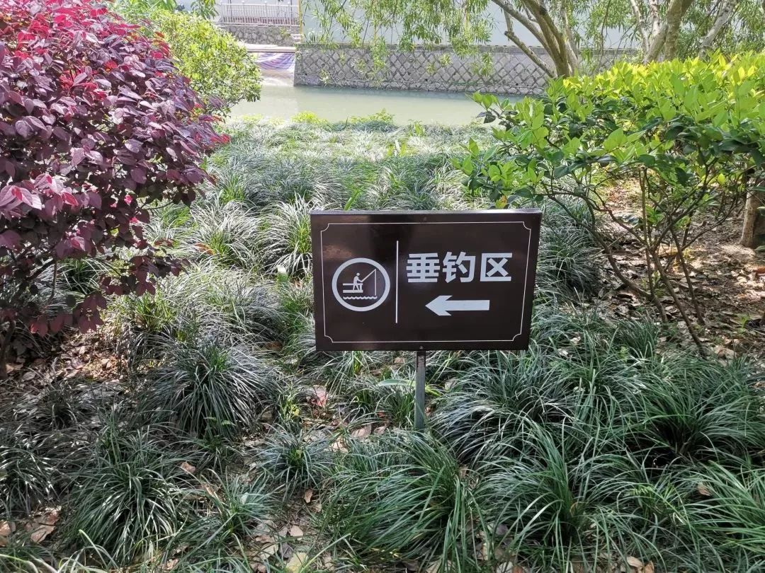 住在西湖区的钓友有福了沿山河规划钓位等着您去垂钓