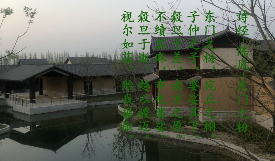 67诗经-陈风-东门之枌东门之枌,宛丘之栩.子仲之子,婆娑其下.