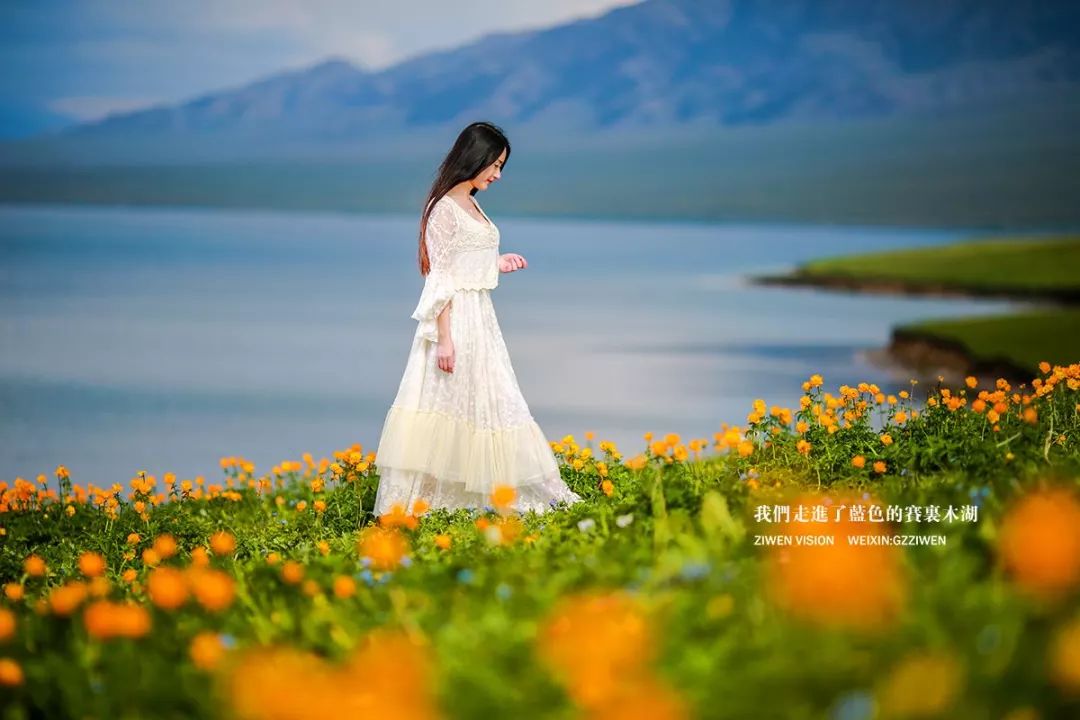 酷游旅拍2019年7月268月3号暑假大美新疆喀纳斯木里赛湖喀拉峻大草原