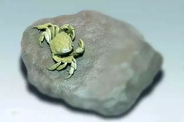 玉雕螃蟹聚餐玉侠崔涛请你吃螃蟹宴