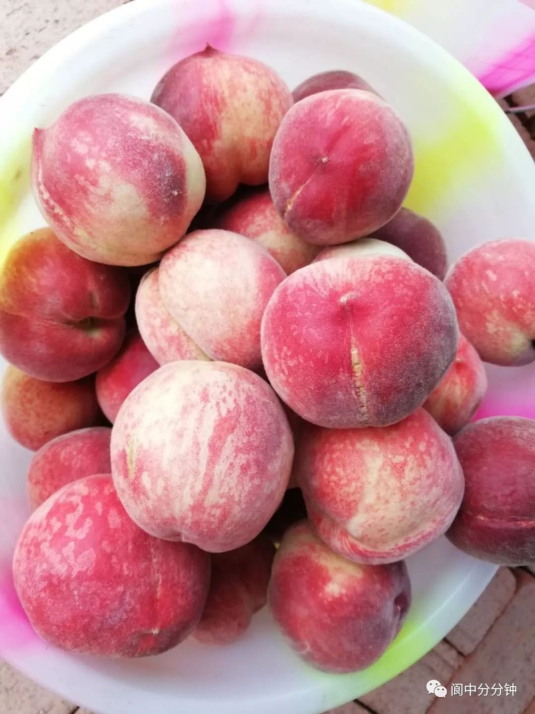 天宫乡:桃果香飘四溢 果农喜笑颜开