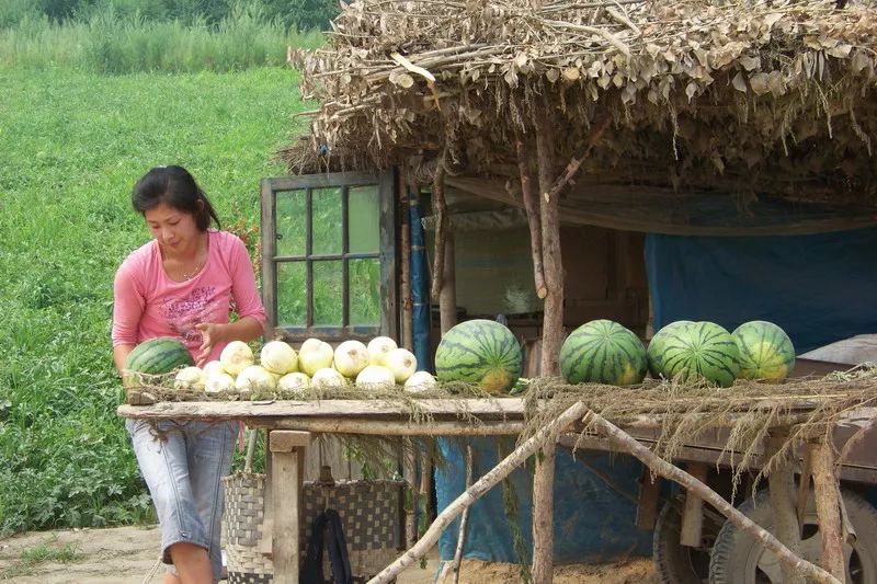 小时候,家里的大人去看瓜,孩子们却偷懒,跑到地头笑闹着玩起了泥巴!