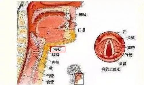 吃了过辣的小龙虾后发生变态反应,诱发急性会厌炎,小赵则是患了急性肠