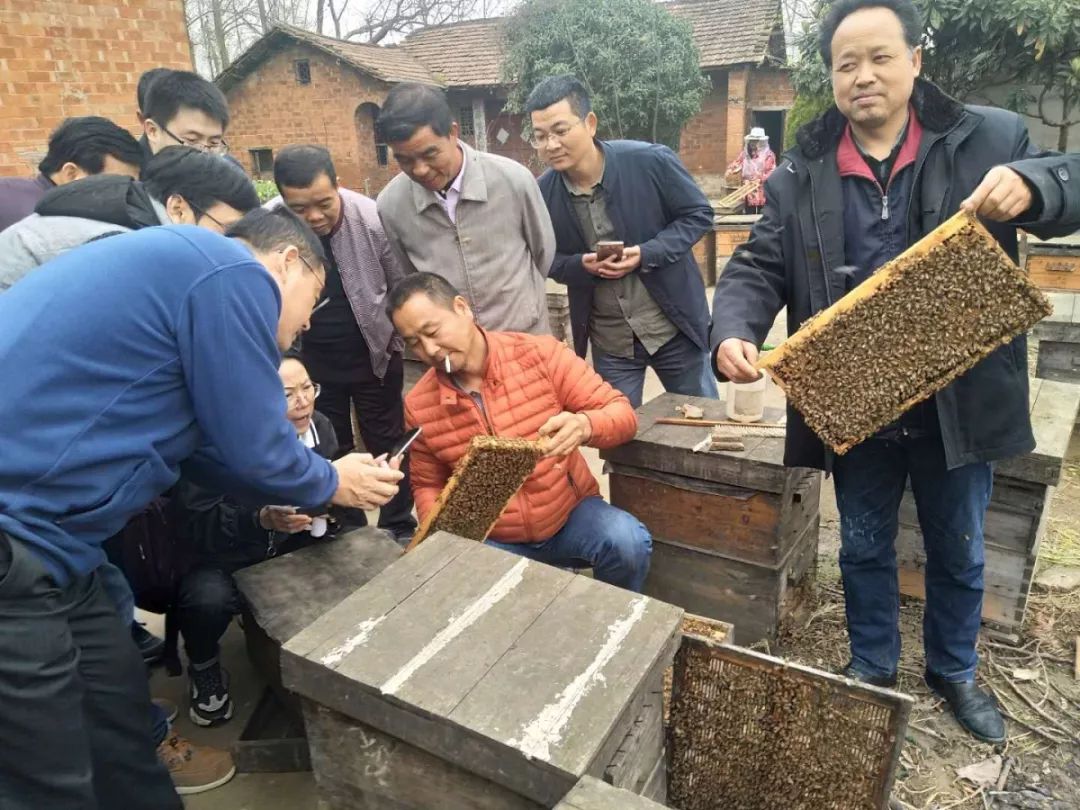 種苗培育以及蔬菜等多種農副產品的種植,加工,銷售為一體的現代化綜合