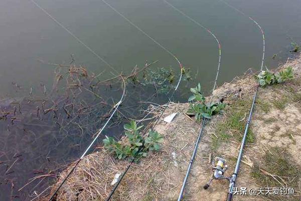 夏季适合钓刮风天,几个小技巧,减少风的影响