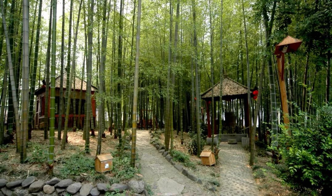 流连于木子度假村,宣木瓜农庄,箐箐庄园,乐府山庄,听虫鸣蛙叫,赏优美
