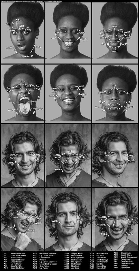 多方位干货 关于表情塑造.肌肉走向的干货分享