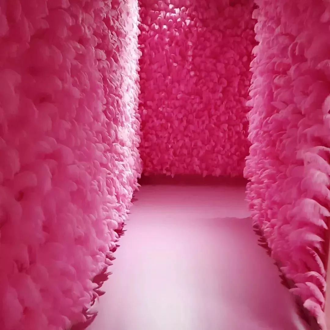 潮人福利南宁新晋拍照圣地邀你免费打卡啦