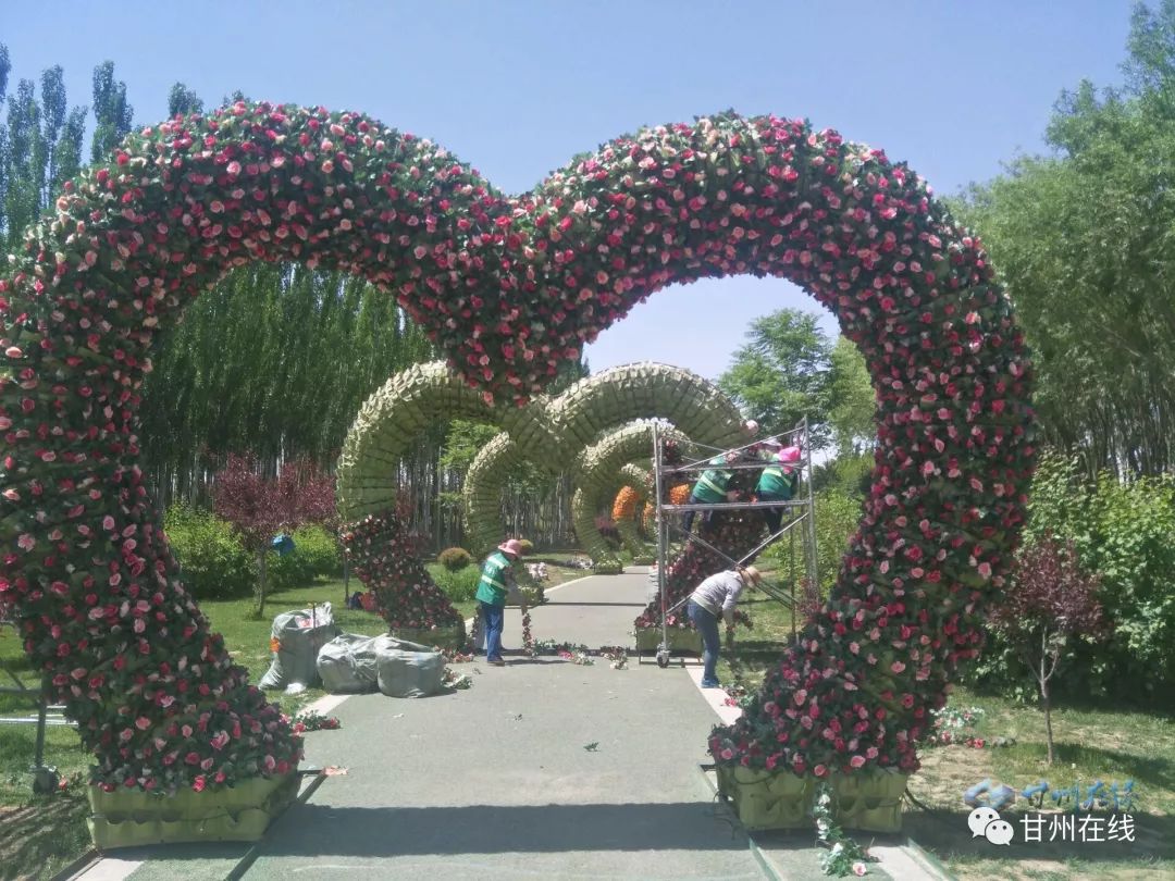 水湾生态景区二号广场入口处12组心形拱门进行集体换装,绑扎仿真玫瑰