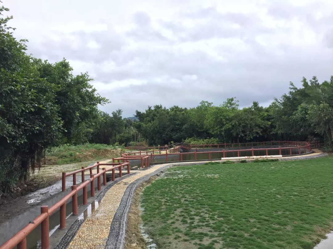 全域综合治水到了度假区不那是龙田镇东峰村的休闲公园