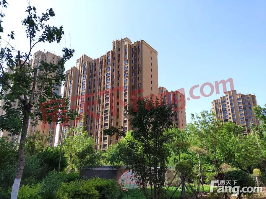 大咖复位丨悦澜湾活动震撼来袭 河景现房品质呈现