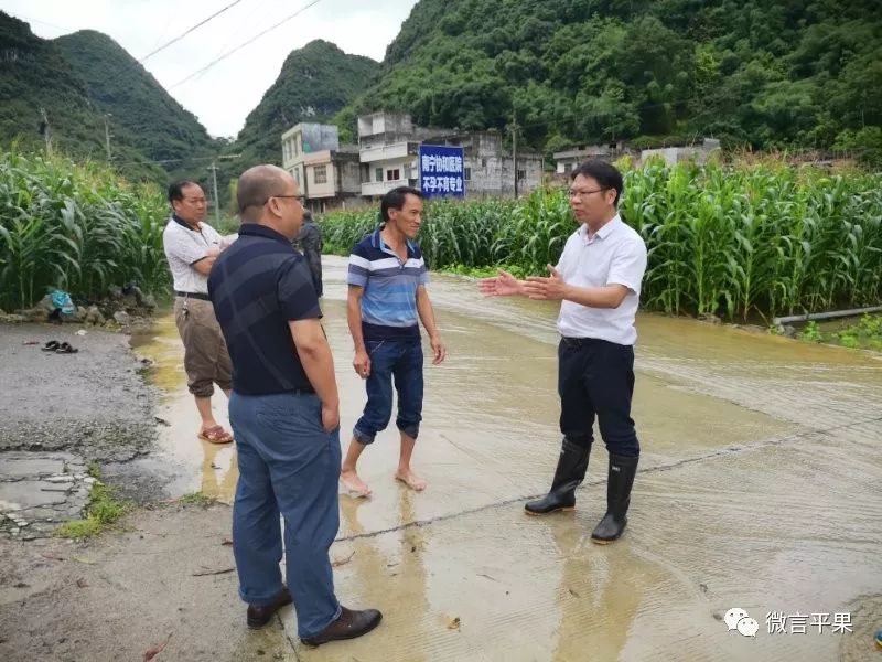 太平镇坡造镇四塘镇旧城镇凤梧镇榜圩镇海城乡黎明乡同老乡关注和建议