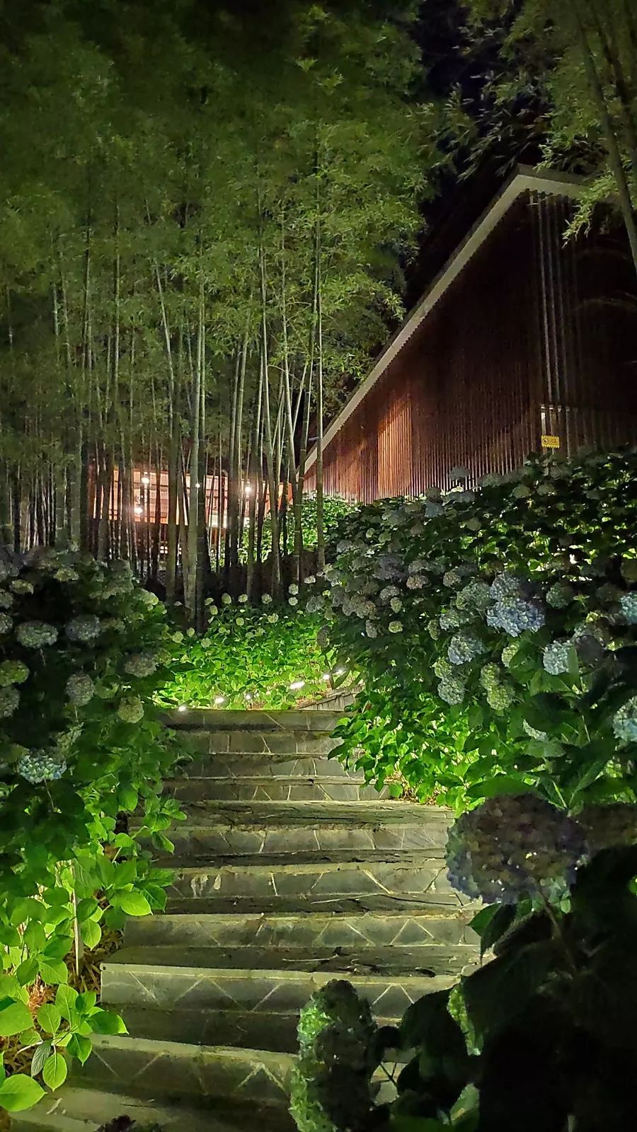 书画南北方行香竹苑听禅声一一陈太明禅意小品特展