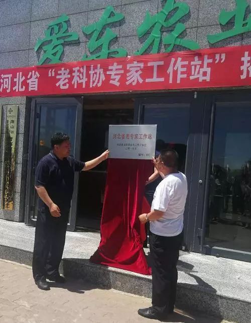 市委常委,曹妃甸区委书记孙贵石,区委副书记杨靖山
