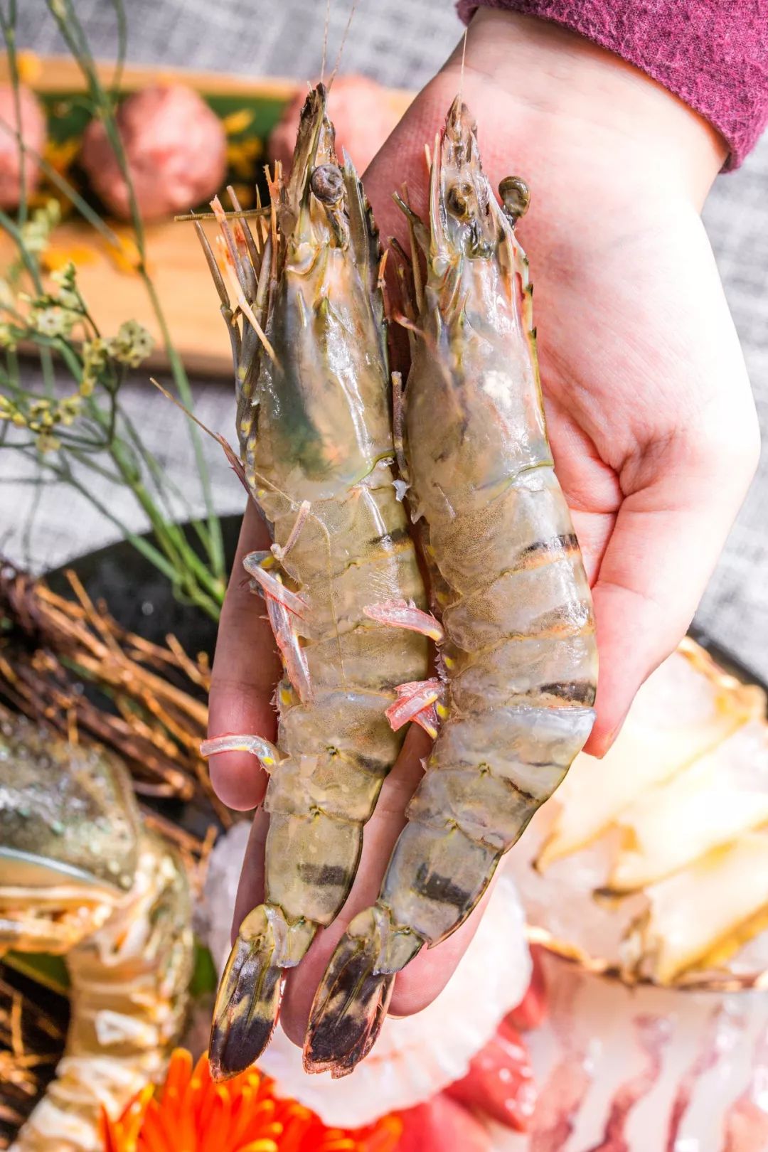 儿童节欢乐出发豪华游艇带你畅游魅力港城