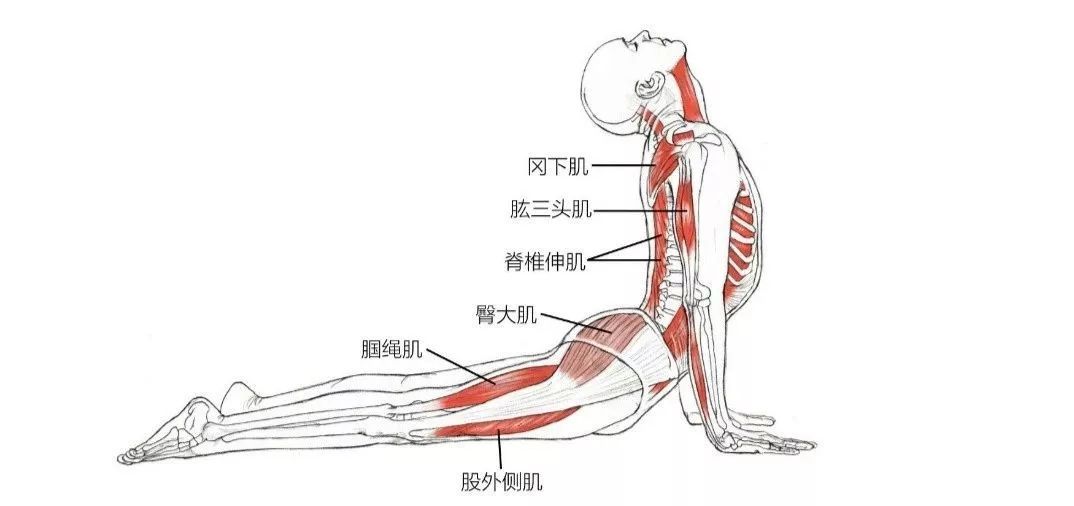 你需要的是先接受自己的身体状况