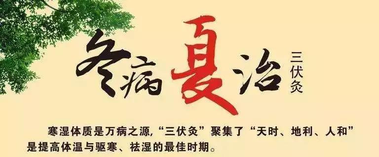 三伏不"艾,更待何时!把握时机胜吃千年人参!