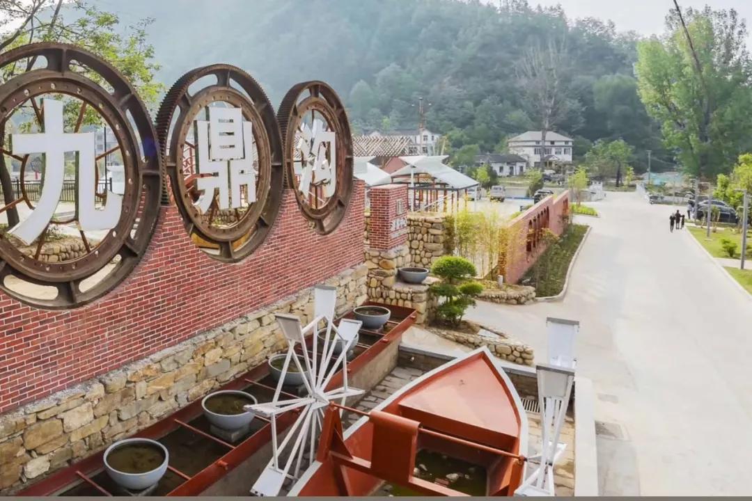 赤土店镇高山牡丹鲜切花基地,绵延32公里,80多个品种的高山牡丹,并