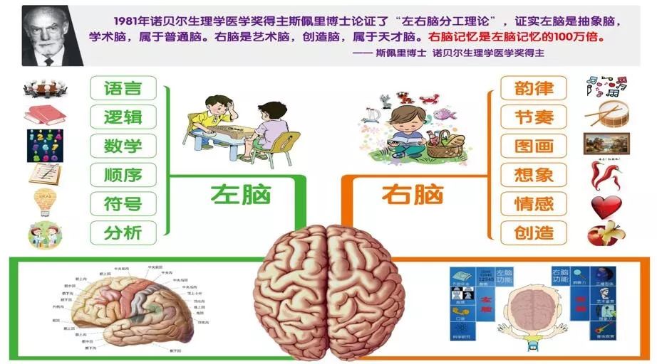 亲子活动报名丨最强大脑记忆法,提升记忆力,就是这么简单!