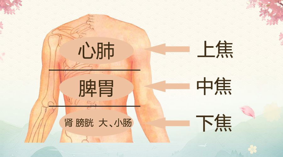 如果想要有效养颜排毒