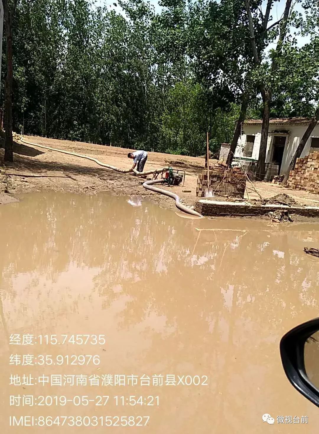 台前县侯庙镇小麦受损85余亩,已积极展开"救麦"行动!