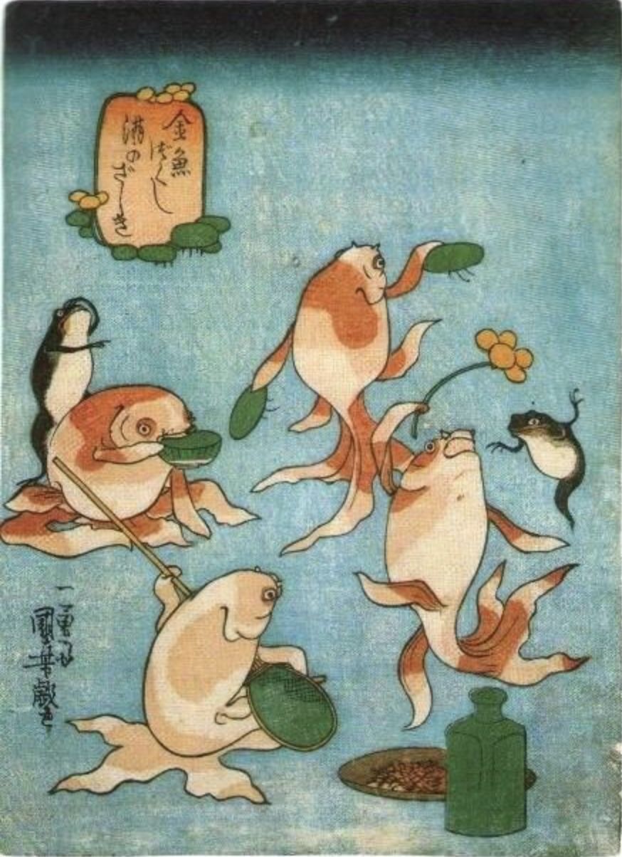 为画猫被重罚入狱这个猫奴画师用浮世绘画水浒英雄被誉为浮世绘鬼才