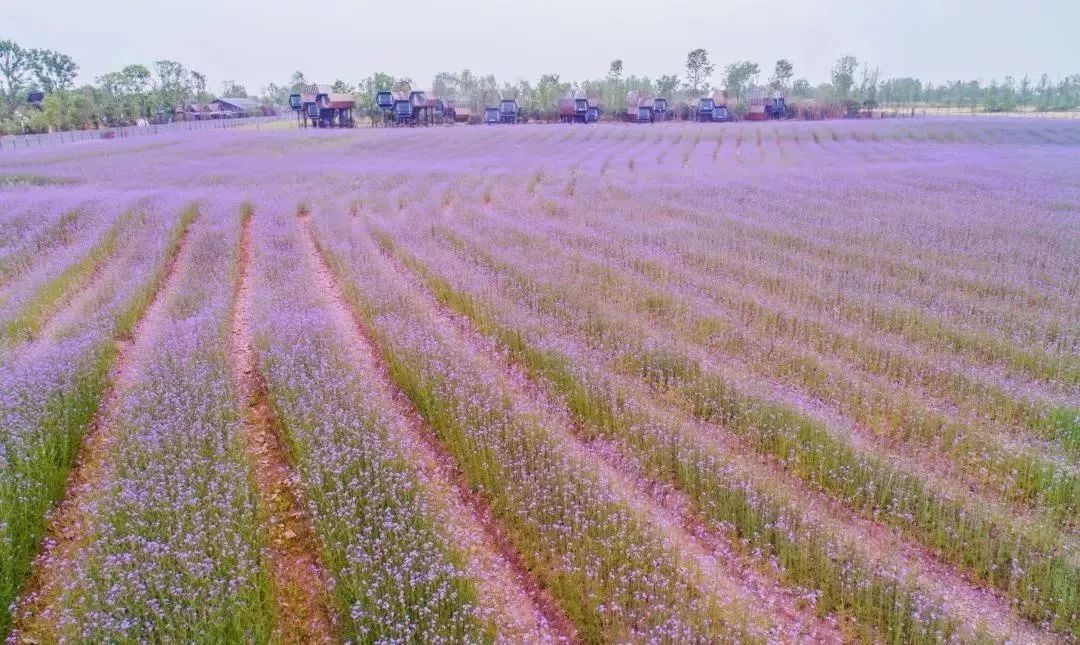 如何选一条今夏最in的花裙子