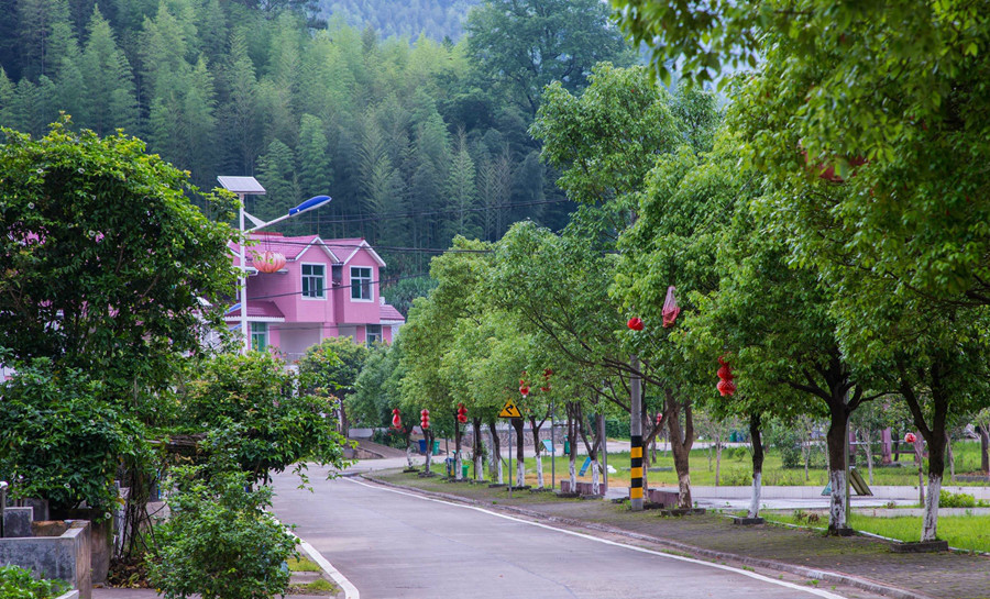 行走在武平东留镇的新中村,街巷干净整洁,空气清新.李南轩摄