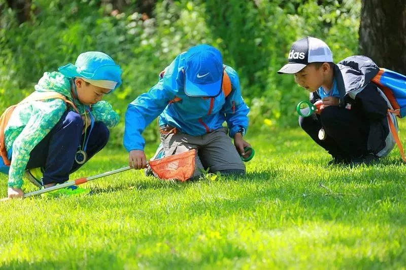 清凉伊夏 探秘林都|2019营口中青旅伊春森林探秘主题夏令营开始招募!