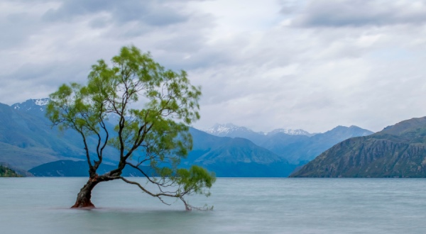 吸油烟机市场激战正酣，多股力量向一个目标开火！-家电圈官网