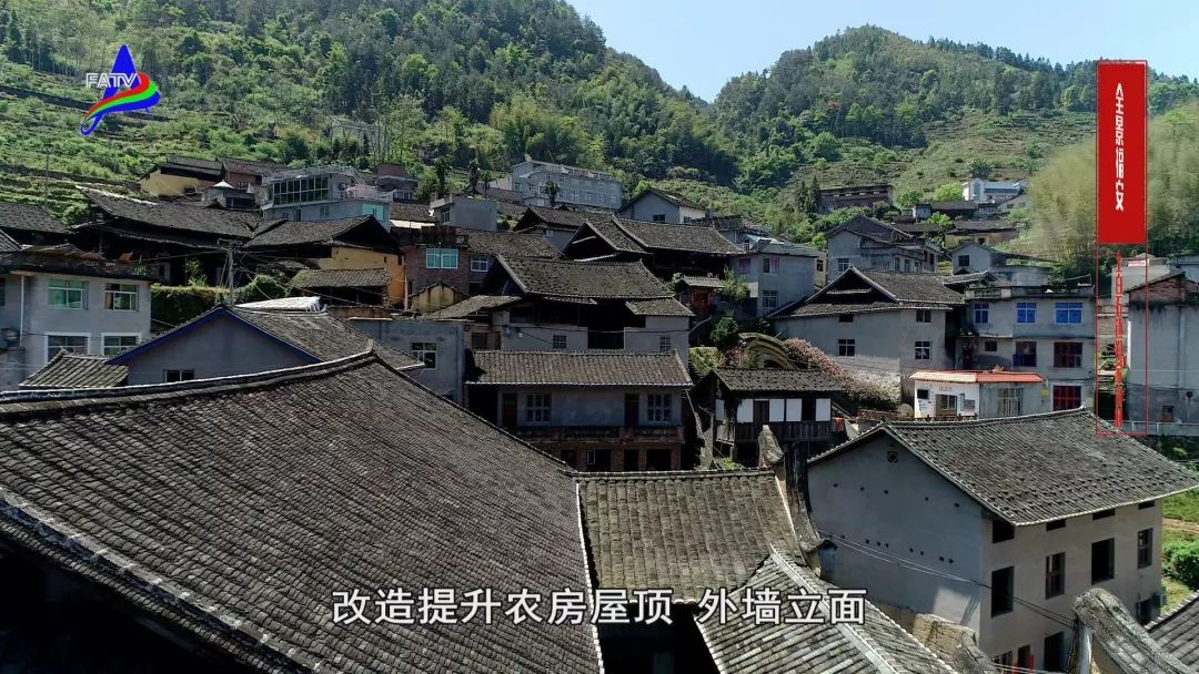 福安的这个村一条村规一百年