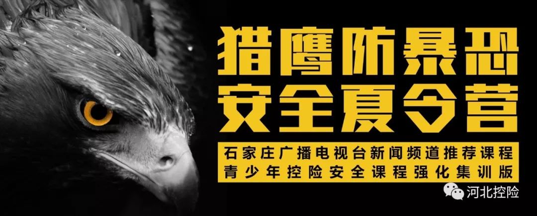 报名啦猎鹰防暴恐安全夏令营火爆开营团报有优惠哟
