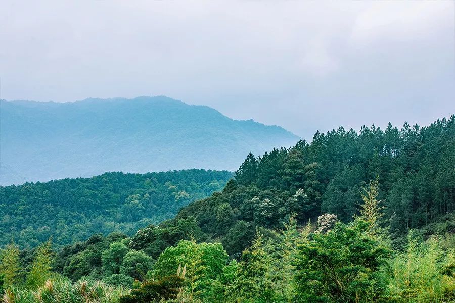 源溪里山庭院里的百种诗意生活尽在里山