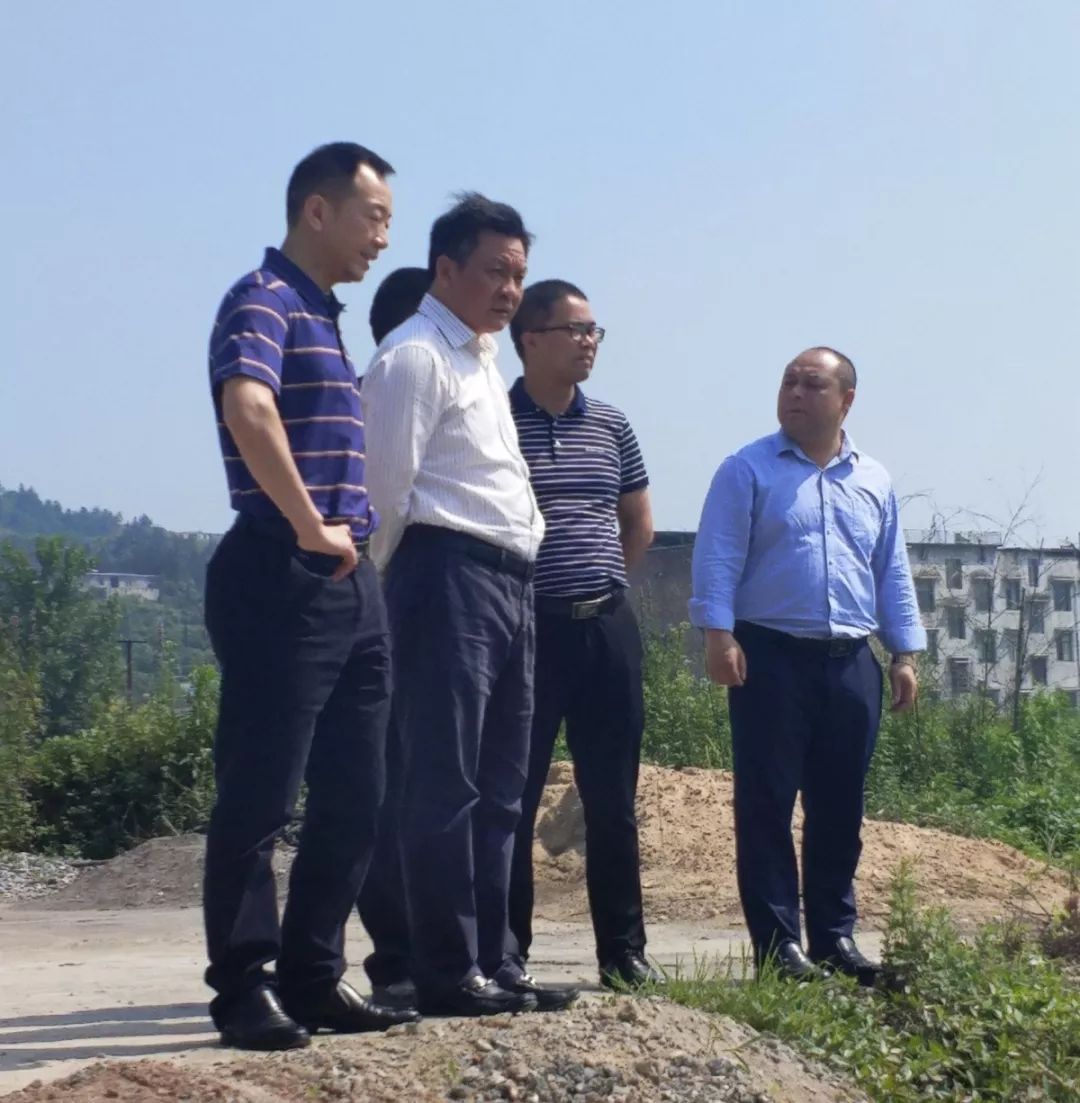 牢固树立防汛抢险意识 切实做到"三到位"——李家喜赴文家市镇督查