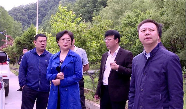 5月28日,县委副书记,县长张晓燕深入双槐树乡督导安全生产和防汛备汛