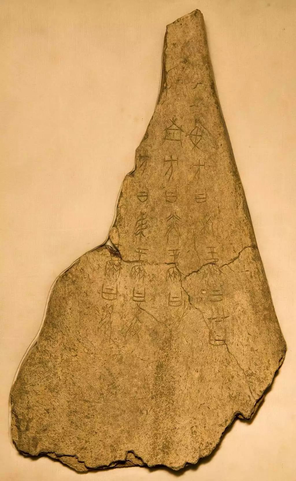 字体强健有力,是典型武丁时期(约公元前 1200 - 1189 年)豳组卜辞