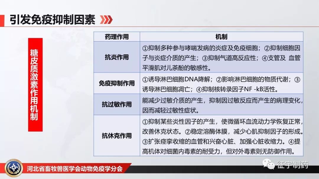 糖皮质激素具有抗炎作用,免疫抑制作用,抗过敏作用,抗休克作用f,药物e