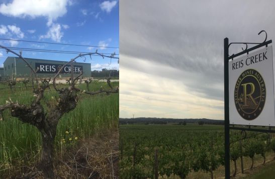 635interwine澳洲红酒出口网邀您品鉴澳洲精品酒庄佳酿