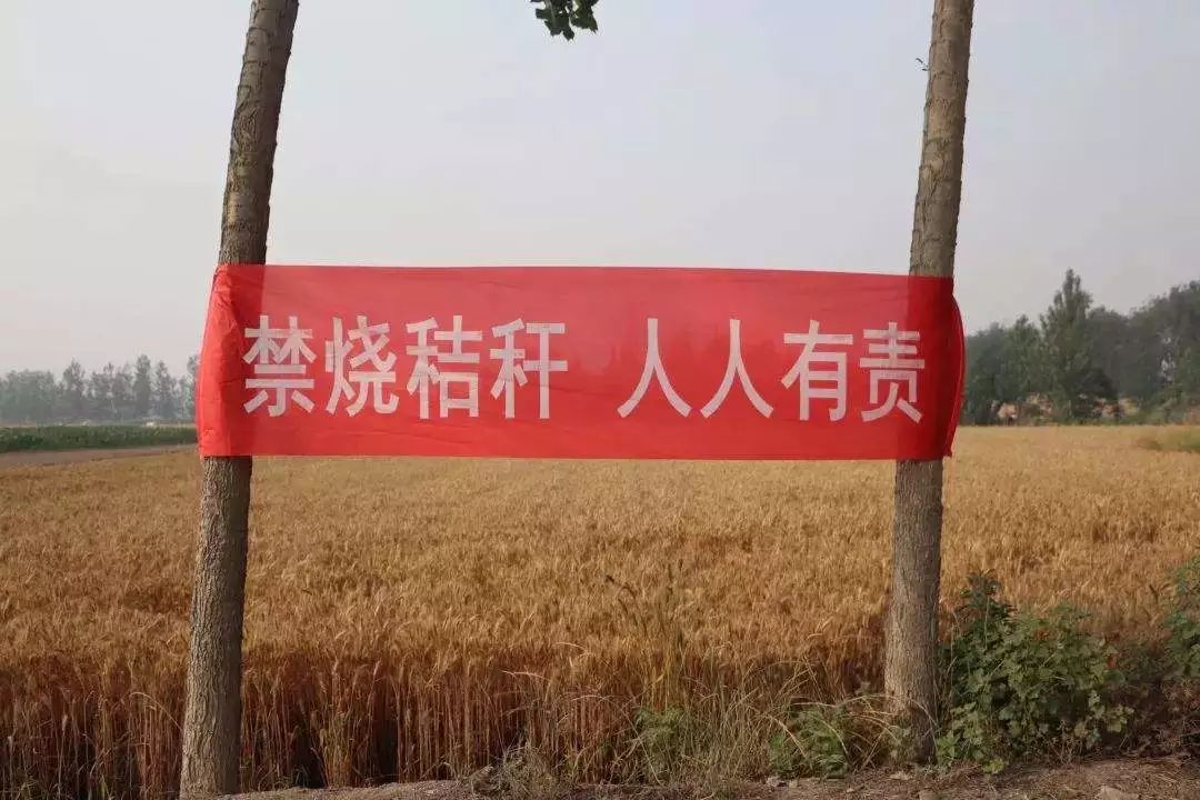 关于秸秆禁烧,今年阜阳请来卫星帮忙