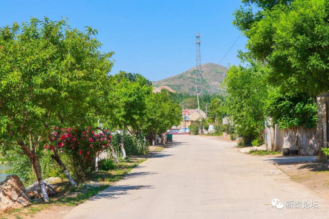 大美新泰汶南镇许庄村