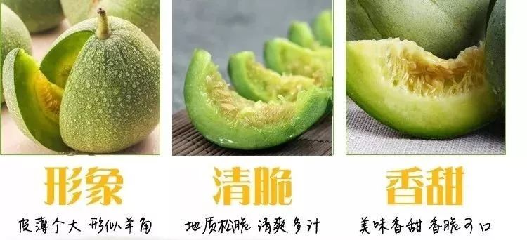 9块9绿宝瓜店庆专供带回家