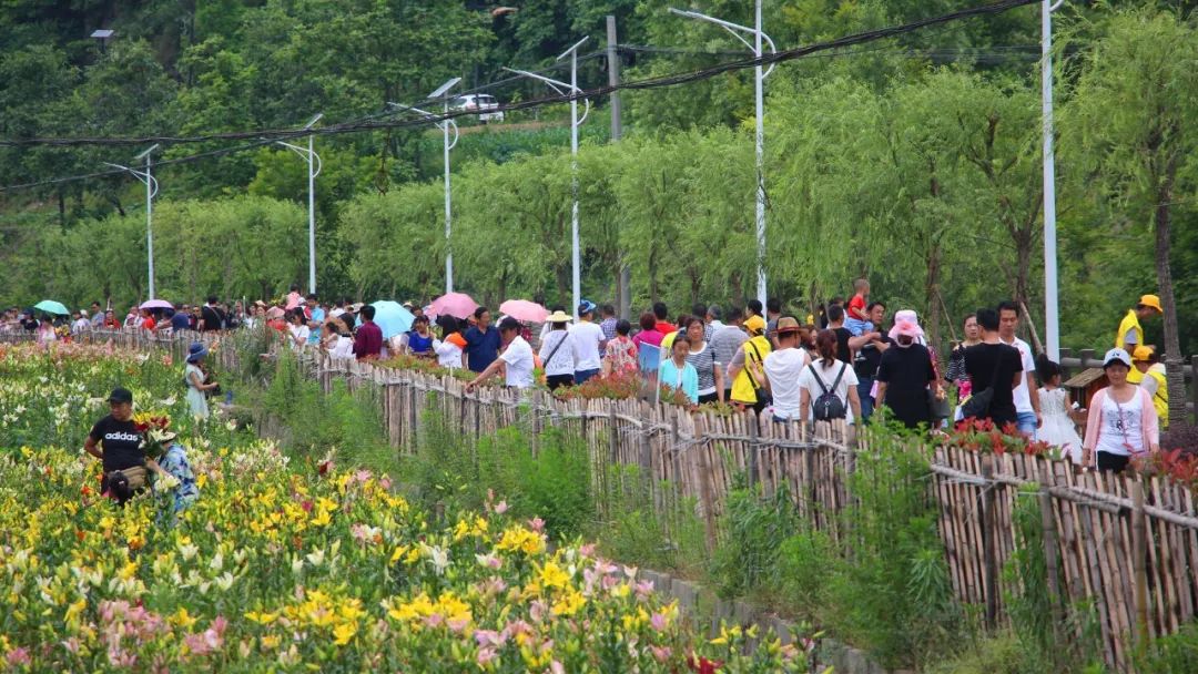 石泉縣城向北路總站或沿線站點乘坐5路饒峰,兩河專線公交車至饒峰驛站