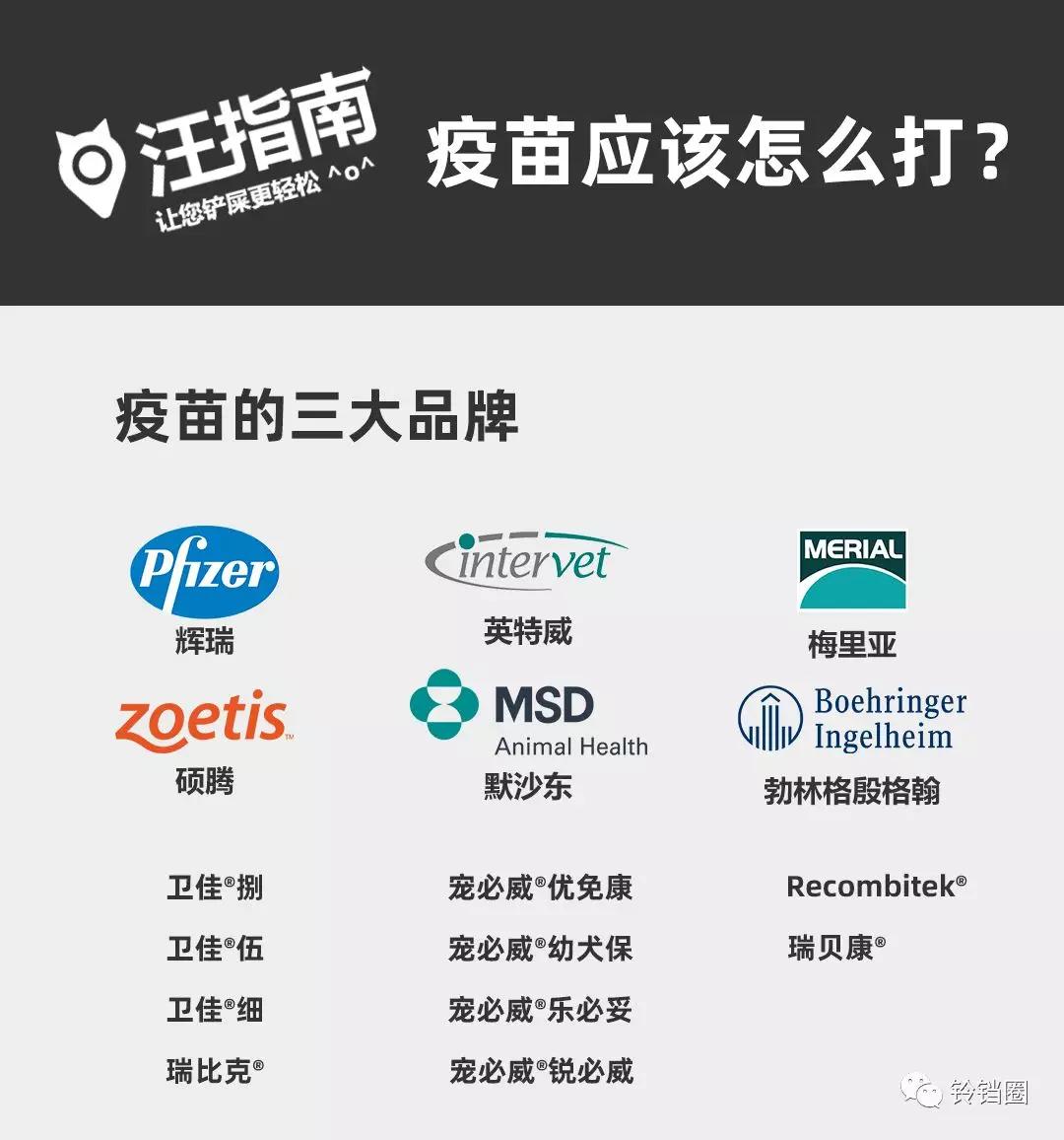 汪指南 | 疫苗应该怎么打?