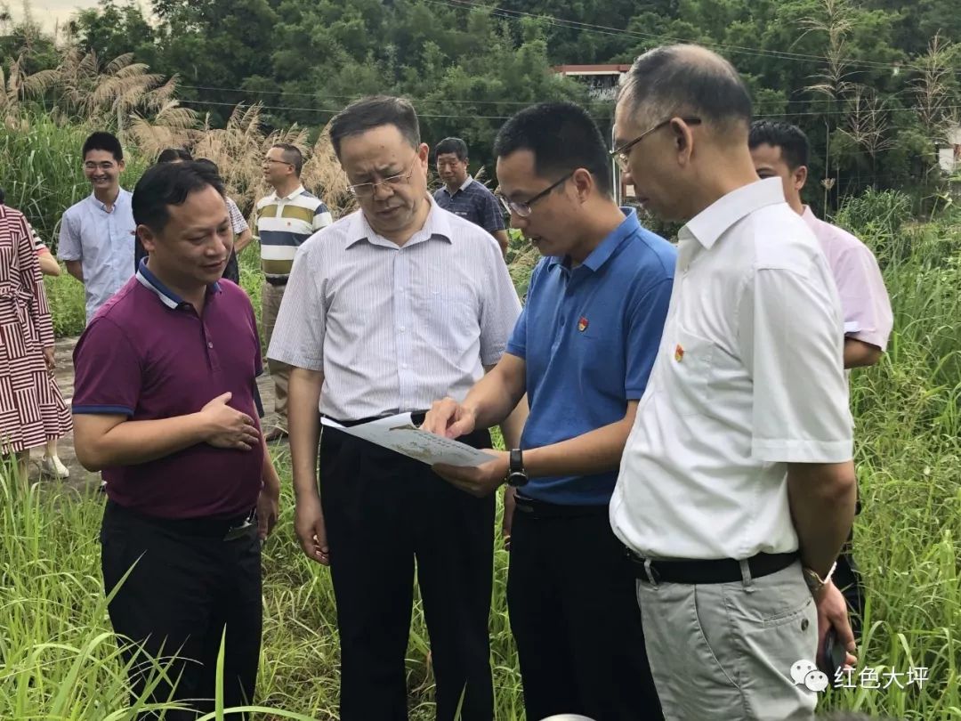 在兰亭村,李学同,陈华江一行在镇驻村干部,兰亭村两委班子的带领下,边