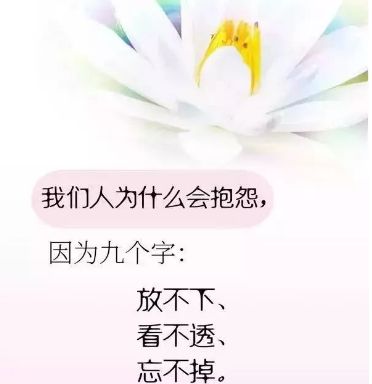 要学会平静地接受现实,学会对自己说声顺其自然,学会坦然地面对厄运